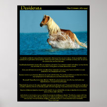 Posters del caballo del agua de los desiderátums
