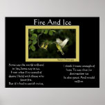 Posters del colibrí del fuego y del hielo