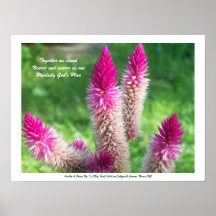 Posters del Haiku de Tania Ndip