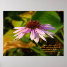Posters del Haiku de Tania Ndip