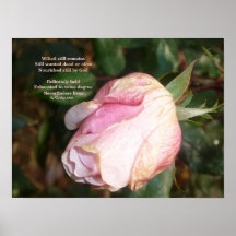 Posters del Haiku de Tania Ndip