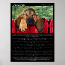 Posters del sabueso de los desiderátums