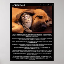 Posters jovenes 2 del amor de los desiderátums