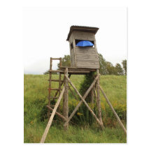 Postkarte - auf der Pirsch