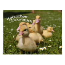 Postkarte mit Entchen
