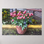 Pote de arcilla del tulipán de la primavera impresiones