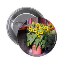 Pote del girasol pin