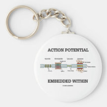 Potencial de acción encajado dentro (empalmes de l llaveros personalizados
