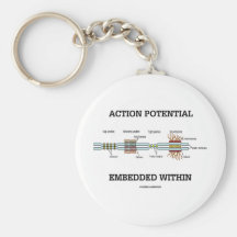 Potencial de acción encajado dentro (empalmes de l llavero personalizado