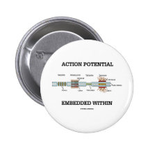 Potencial de acción encajado dentro (empalmes de l pins