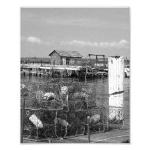 Potes de cangrejo de la isla de Tilghman Arte Fotografico