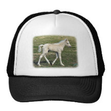 Potro 9P030D-190 Gorros