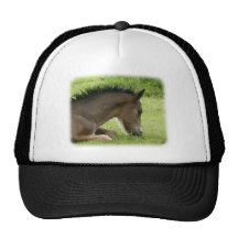 Potro 9Y413D-065 Gorro De Camionero