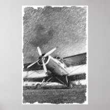 Potro AN-2 Poster