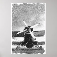 Potro AN-2 Poster