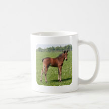 Potro de la bahía tazas de café