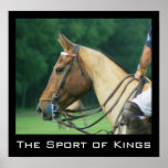 Potro de polo y poster del jinete