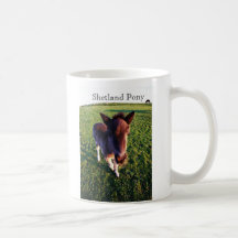 Potro de Shetland Taza