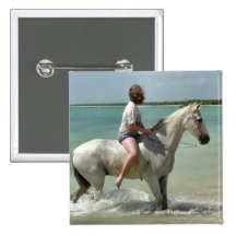 Potro del gris de la playa pin
