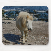 Potro del sur de Devon Shetland que camina en la p Alfombrillas De Raton