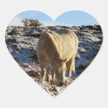 Potro Grazeing de Dartmoor en nieve Calcomanía Corazón Personalizadas