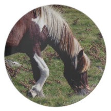 Potro Grazeing de la colina de Dartmoor Platos De Comidas
