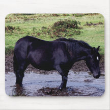 Potro Wadeing de Dartmoor en agujero de riego Alfombrilla De Ratón