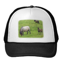 Potro y potro 8J061D-09 Gorros