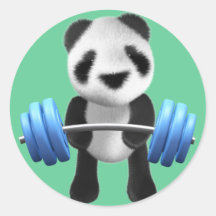 Powerlifter lindo del oso de panda del bebé en 3d  etiqueta