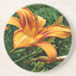 Práctico de costa anaranjado del Daylily Posavasos Personalizados