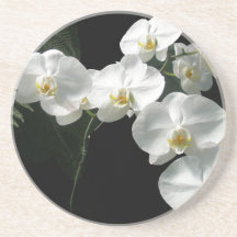 Práctico de costa blanco de las orquídeas posavasos manualidades