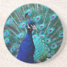 Práctico de costa bonito del pavo real posavaso para bebida