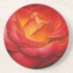 Práctico de costa color de rosa llameante posavasos manualidades