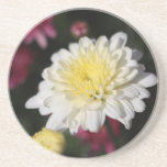 Práctico de costa de la flor del jardín posavasos cerveza