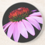 práctico de costa de la flor posavasos personalizados