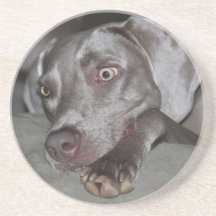 Práctico de costa de Weimaraner Posavasos Manualidades