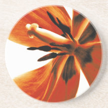 Práctico de costa decorativo redondo floral del tu posavasos manualidades