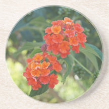Práctico de costa del flower power y de la natural posavasos diseño