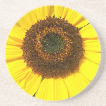 Práctico de costa del girasol de la sol posavasos cerveza