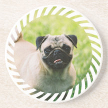 Práctico de costa del perrito del barro amasado posavasos manualidades