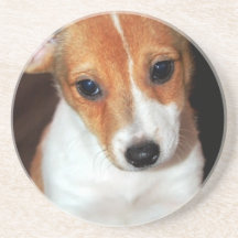 Práctico de costa del perro de perrito de Jack Rus Posavasos Diseño