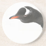 Práctico de costa del pingüino posavasos para bebidas