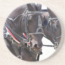 Práctico de costa grande de los caballos posavasos cerveza