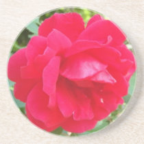 Práctico de costa intenso del rosa rojo posavasos