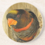 Práctico de costa oscuro del loro del Lory posavasos