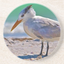 Práctico de costa real del pájaro de la golondrina posavasos manualidades
