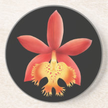 Práctico de costa rojo de la flor de la orquídea d posavasos manualidades