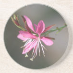 Práctico de costa rosado de la flor posavasos personalizados