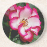Práctico de costa rosado de la piedra arenisca de  posavasos manualidades