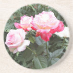 Práctico de costa rosado de los rosas posavasos personalizados